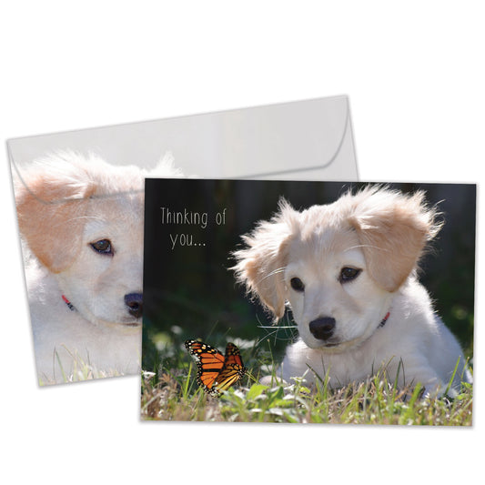 Butterfly Thoughts Friendship Card