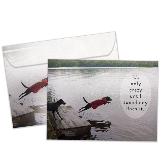 Front view of a birthday greeting card featuring a photo of a dog jumping into the water and the message "It's only crazy until somebody does it," with a matching envelope.