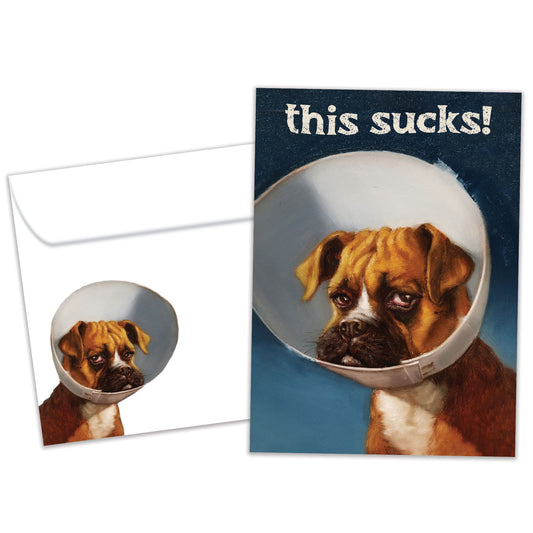 Cone of Shame Get Well Card