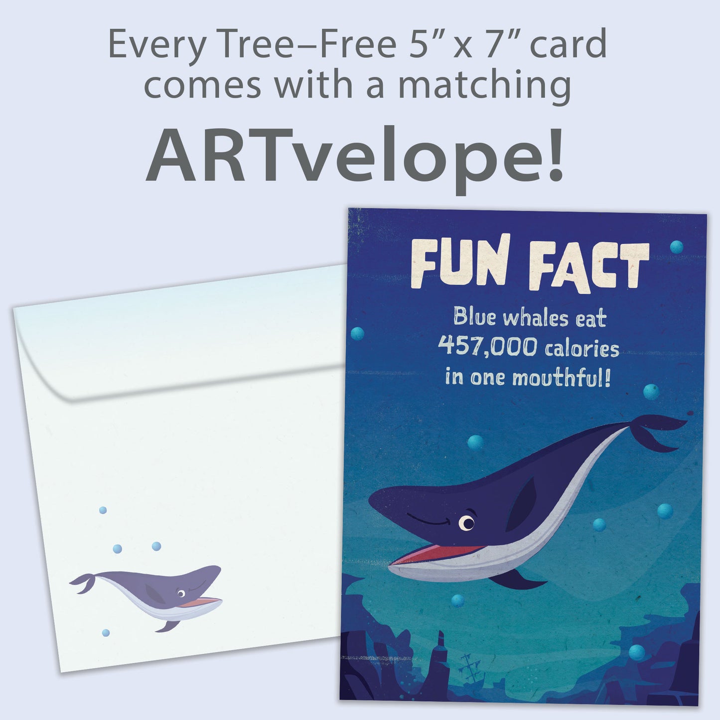 Whale Fun Fact Birthday Card