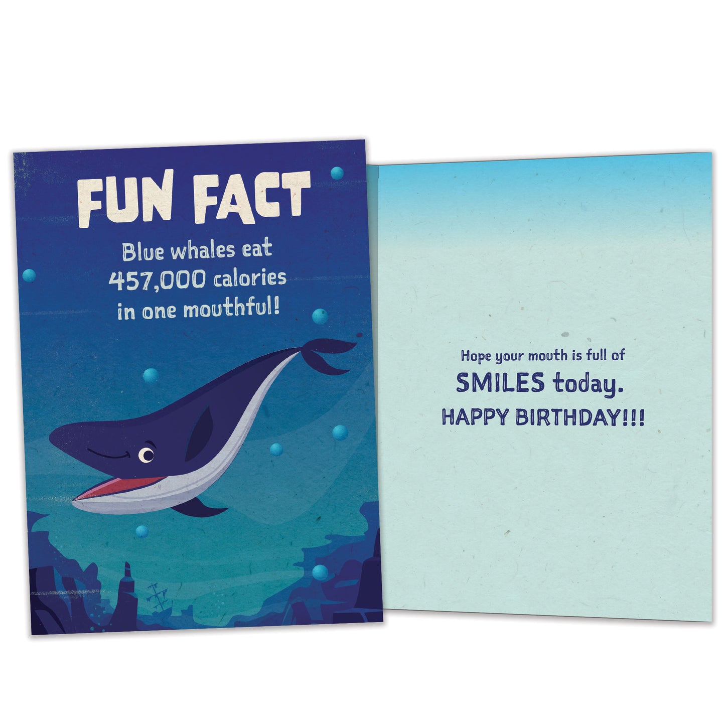 Whale Fun Fact Birthday Card