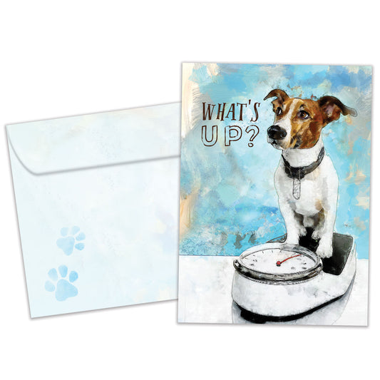 Front view of a Birthday greeting card featuring a dog on a scale with the words "what's up?", with a matching envelope.