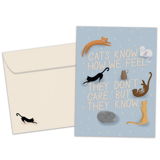 Cats Know Encouragement Card