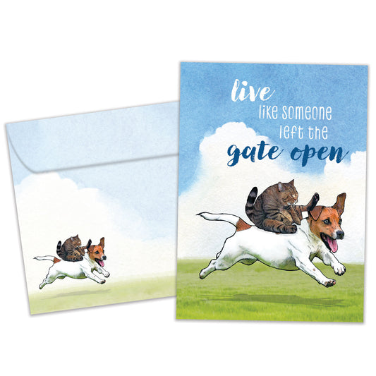 Front view of a Birthday greeting card featuring a cat riding on a dogs back with a message about life, with a matching envelope.
