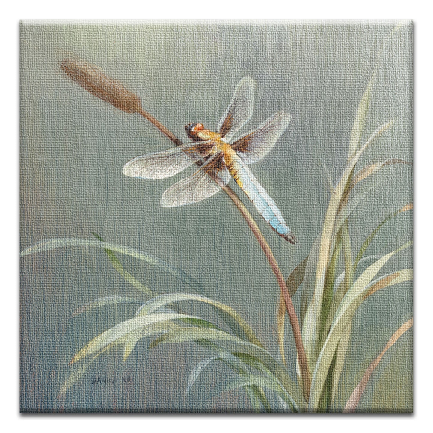 Danhui Dragonfly Thumb-Tack Canvas Card