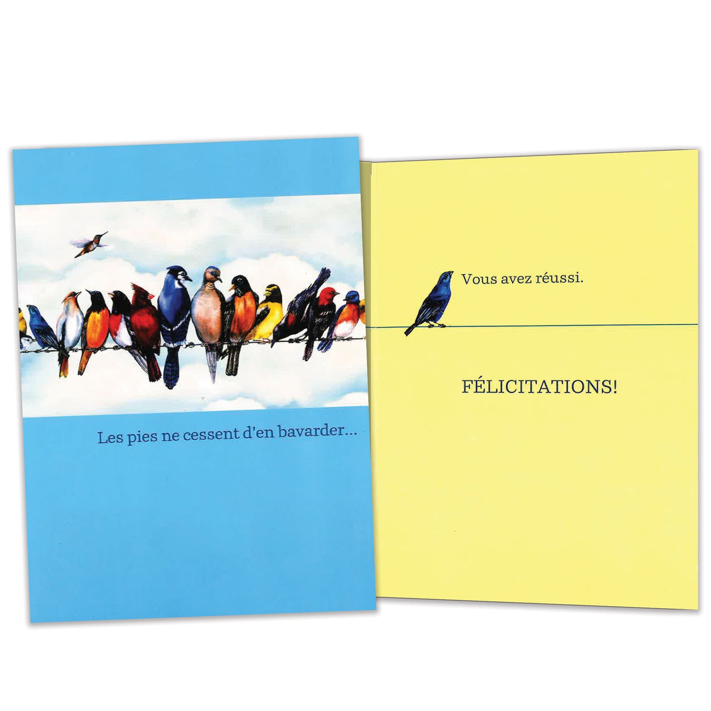 Carte Félicitations Pies Sure Le Fil