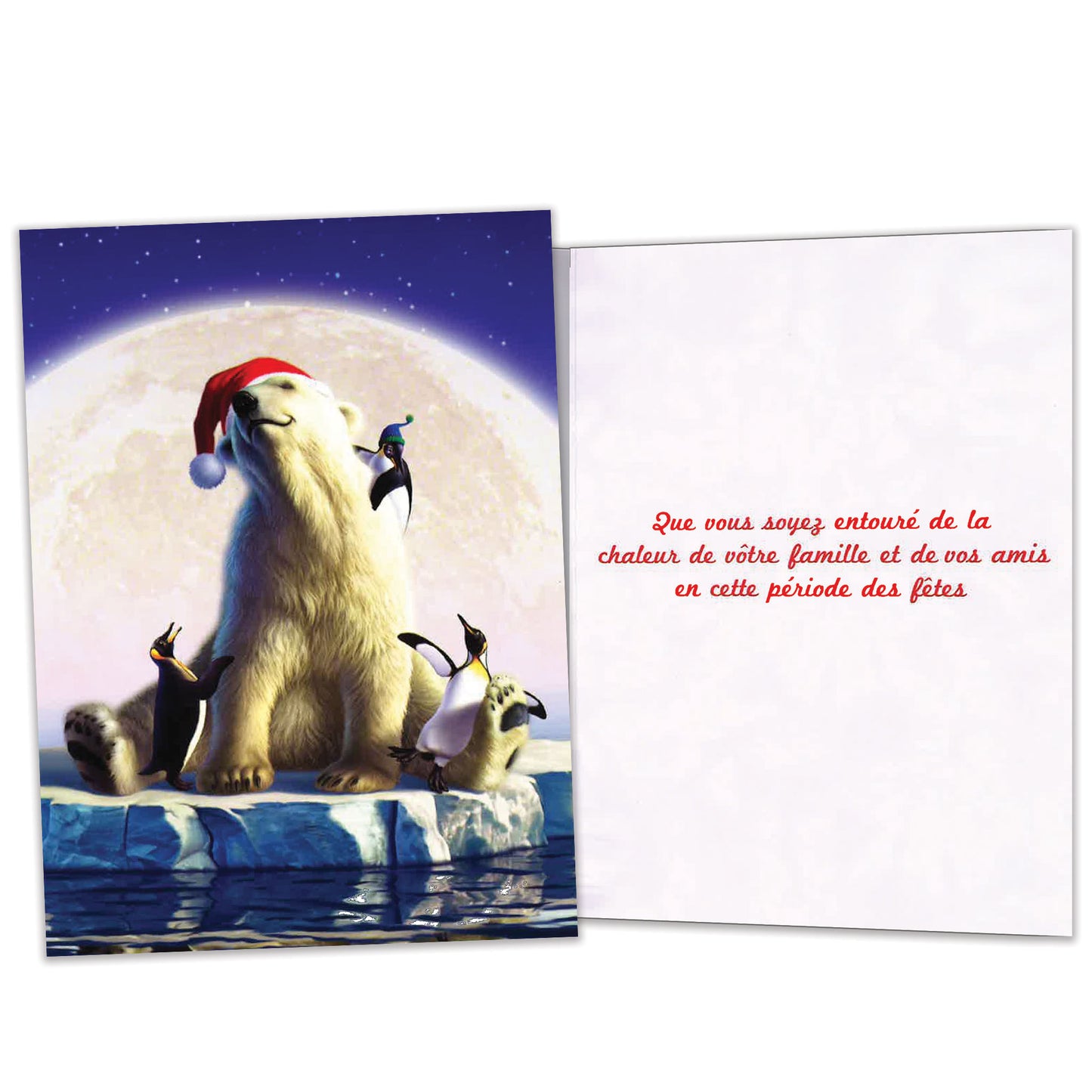 Carte Noël Amis Polaires