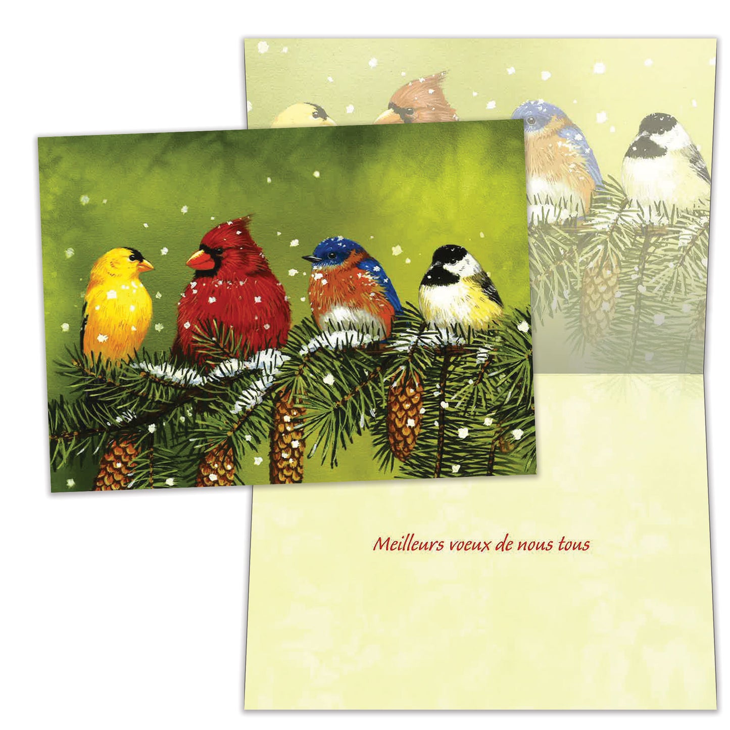 Carte Noël Amis Plumeux D'Hiver