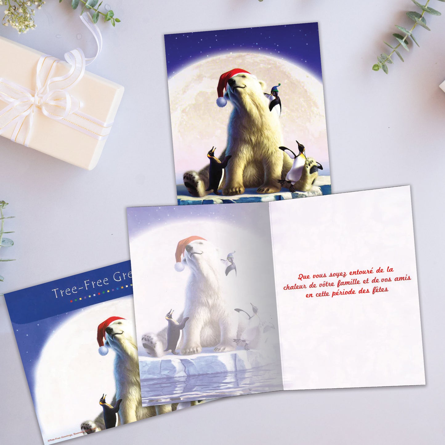 Carte Noël Amis Polaires