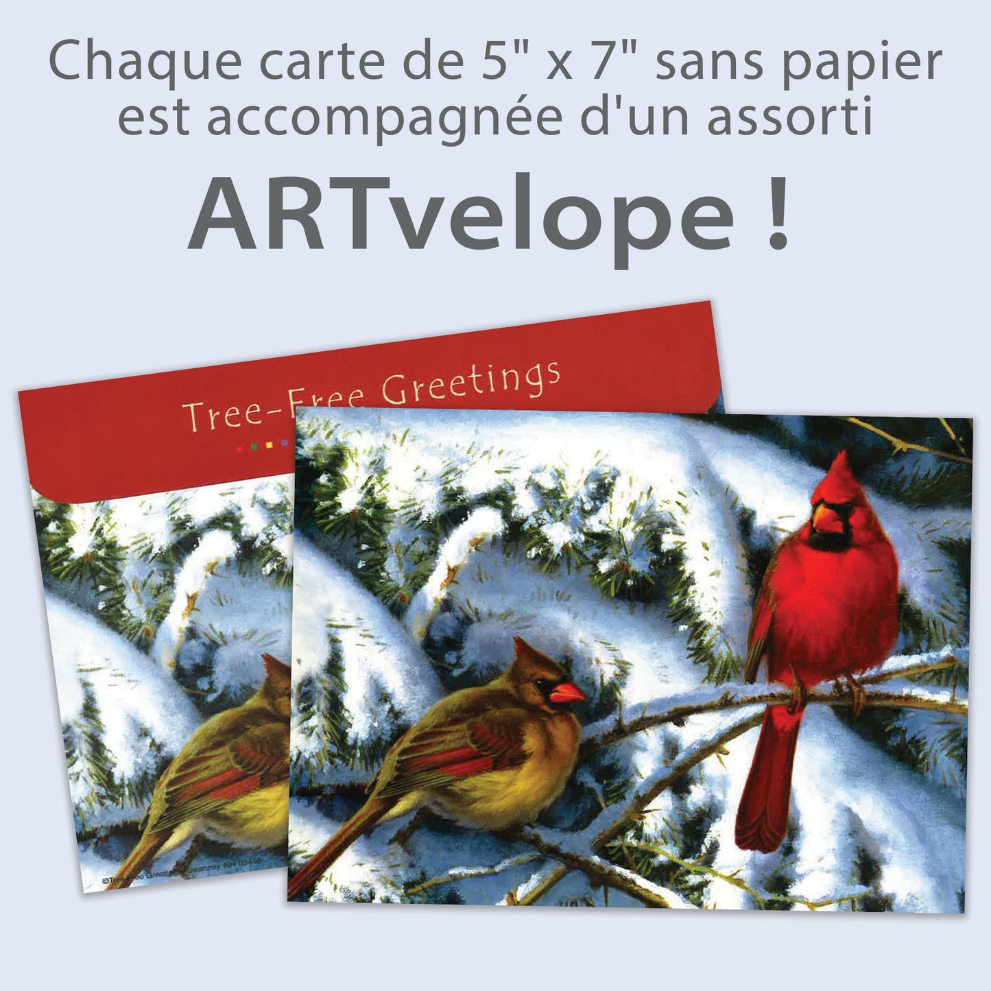 Carte Noël Visite Des Fêtes