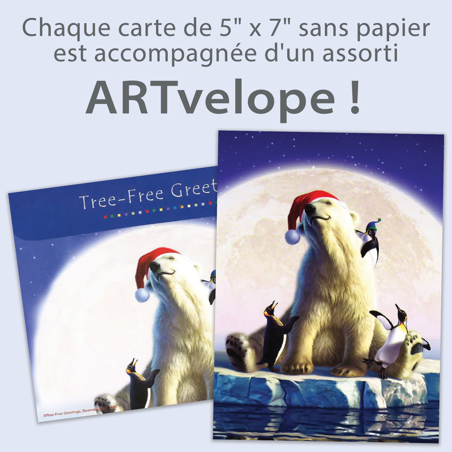 Carte Noël Amis Polaires