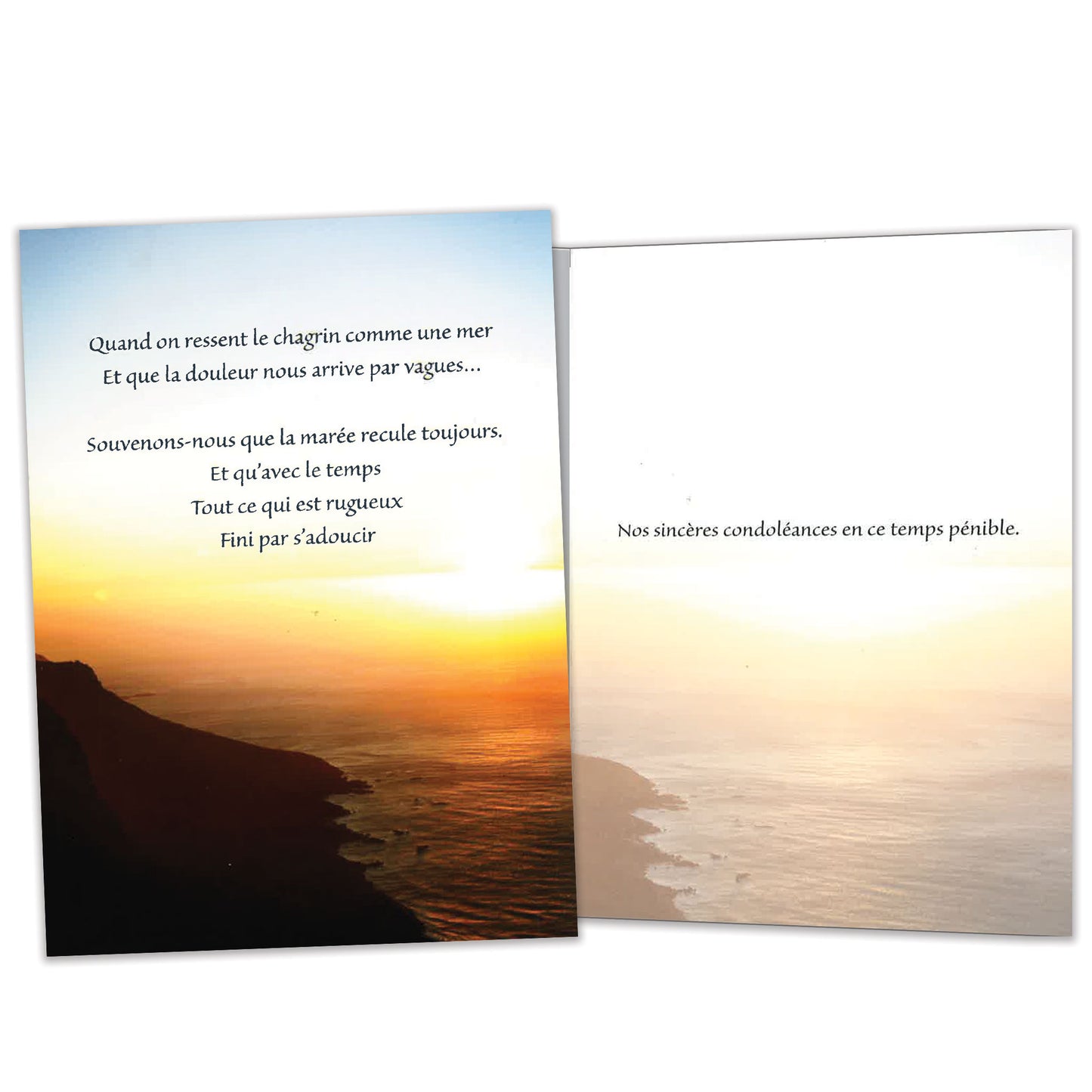 Carte Sympathie / Meilleurs voeux Flots