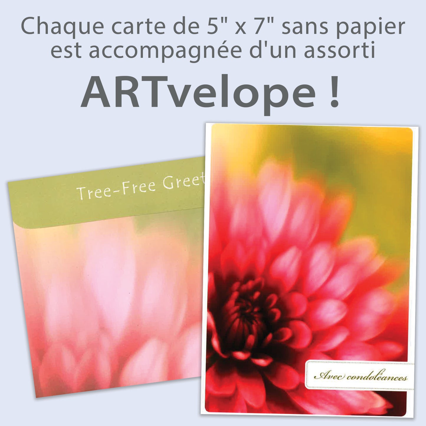 Carte Sympathie / Meilleurs voeux Paix est Confort
