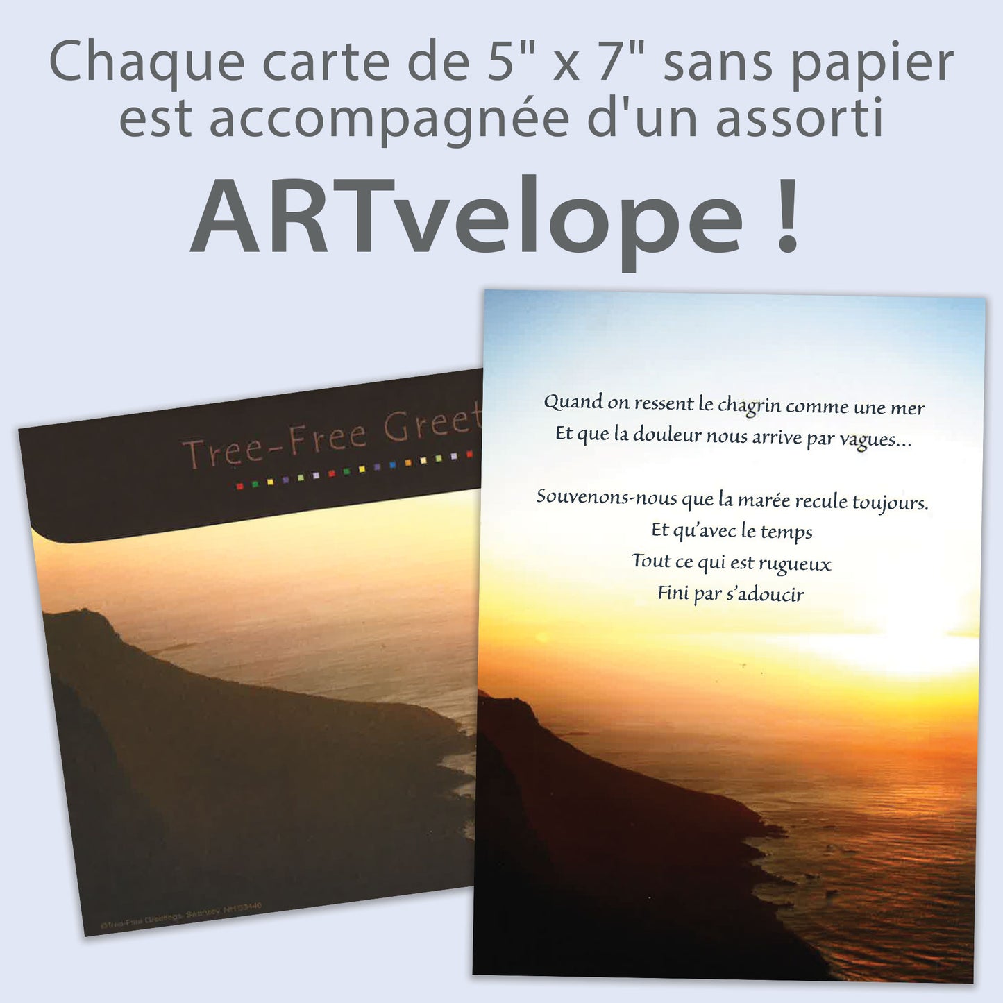 Carte Sympathie / Meilleurs voeux Flots