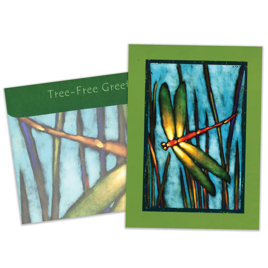 Front view of a Birthday greeting card featuring a dragonfly in a marshy background, with a matching envelope.