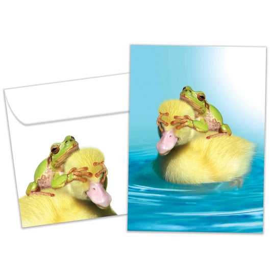 Front view of a Birthday greeting card and matching envelope featuring a duck with a frog on its back playfully covering its eyes.