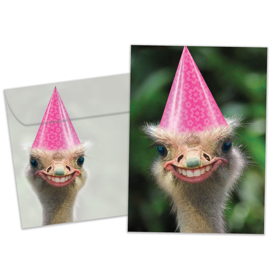 Front view of a Birthday greeting card and matching envelope featuring a funny ostrich smiling and wearing a birthday hat.