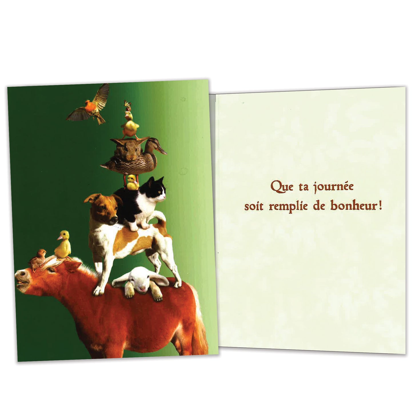 Carte bonne fête Pile d'animaux