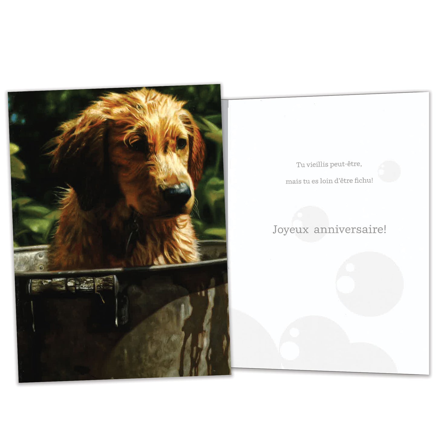 Carte bonne fête Se Laver