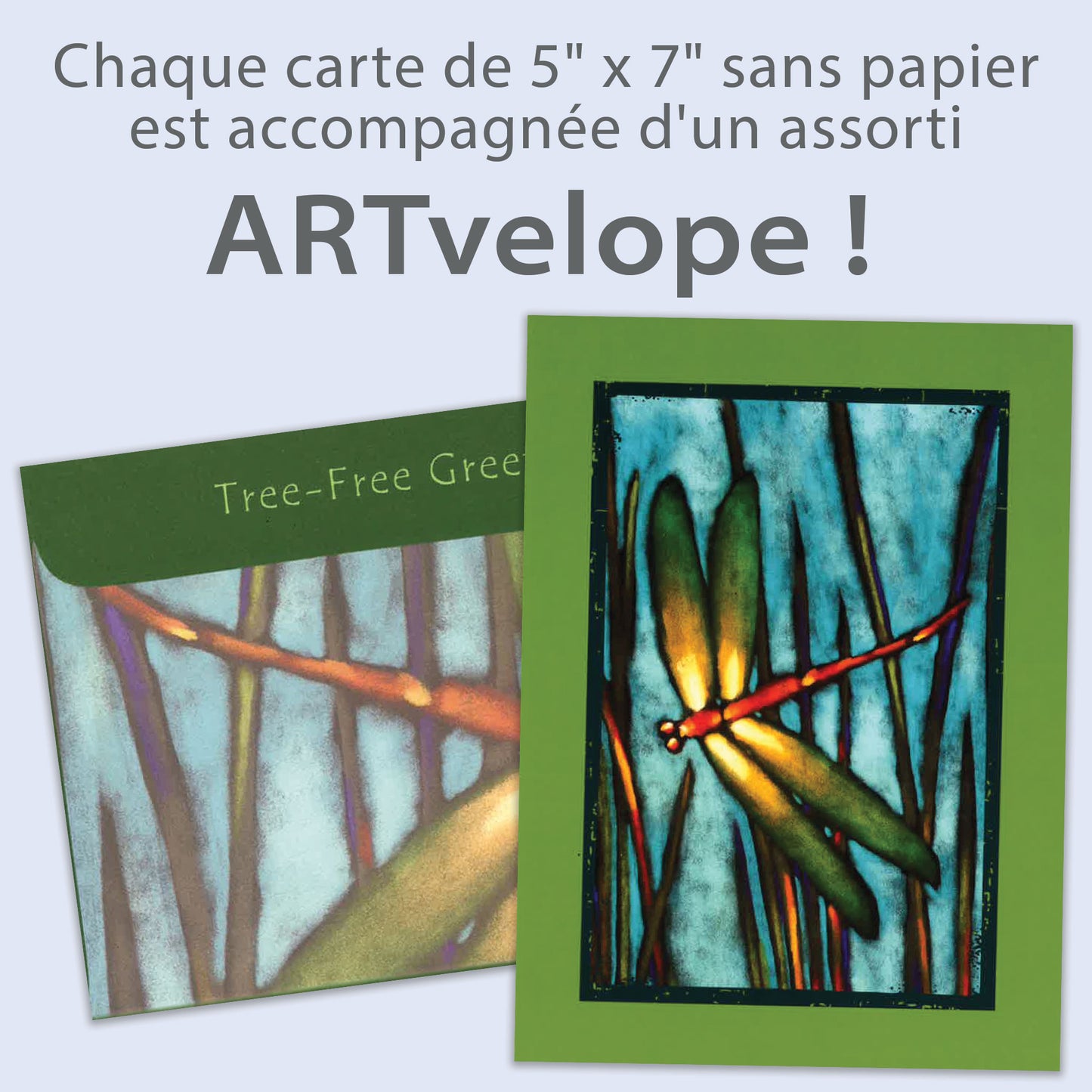 Carte bonne fête Libellule