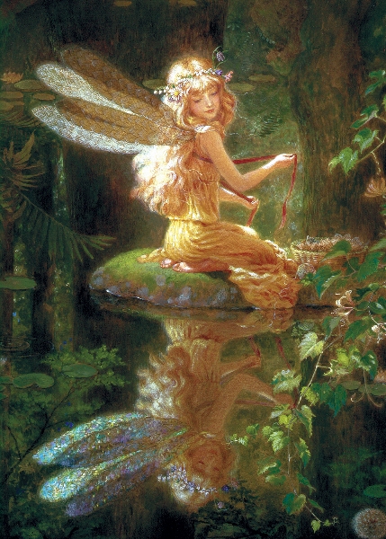 026 Fairy Reflections (all occassion)