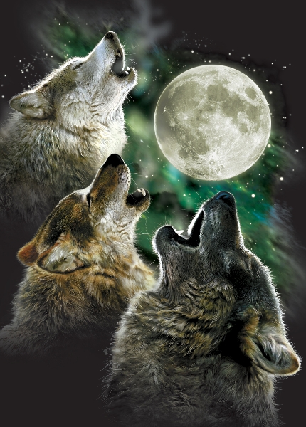 032 Three Wolf Moon (All Occasion)