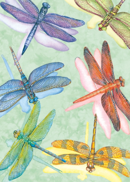 036 Dragonflies (All Occasion)