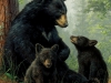 027 Bear Family (All Occasion)