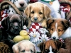 030  Puppy Pals(All Occasion)