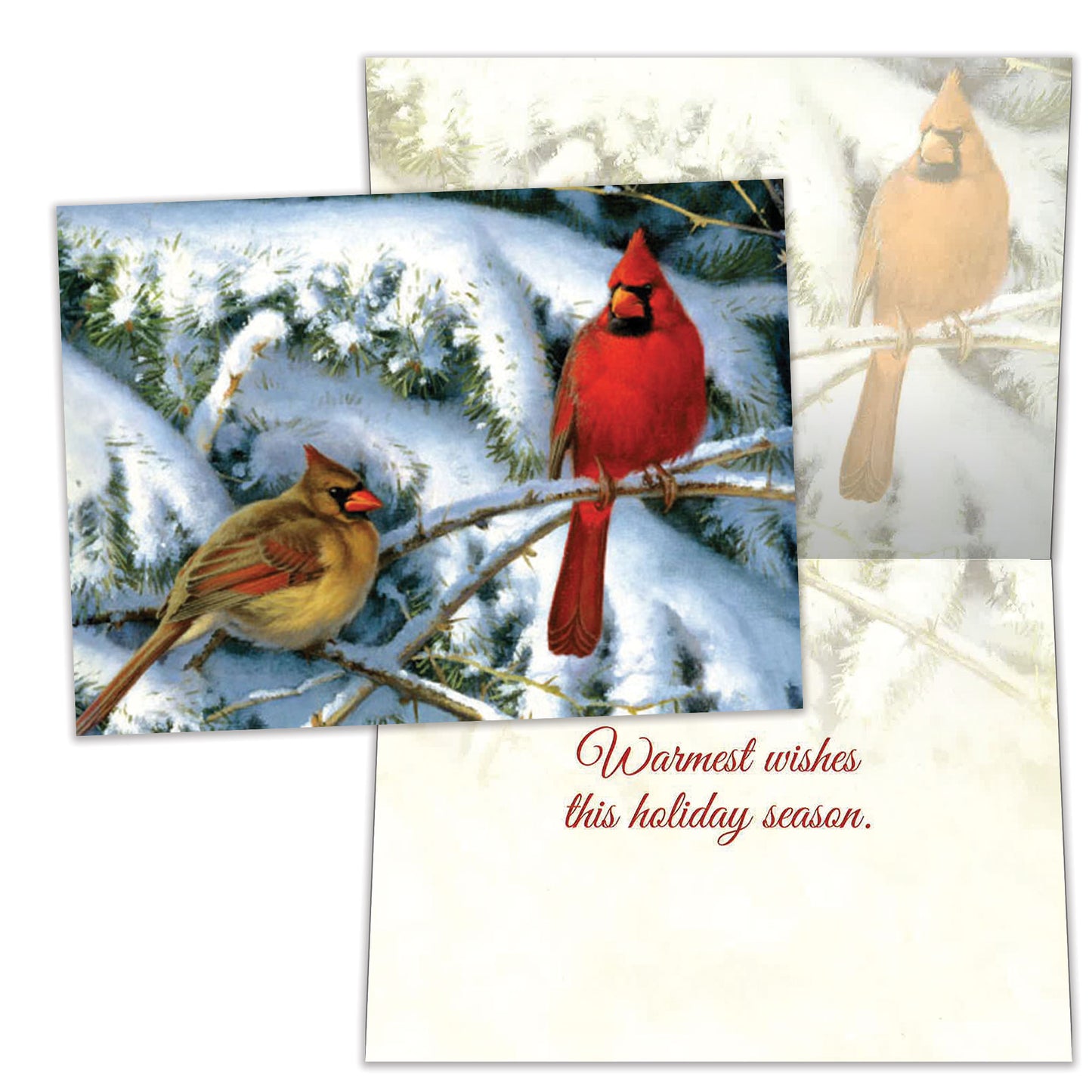 Holiday Visit Christmas Card
