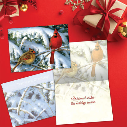 Holiday Visit Christmas Card