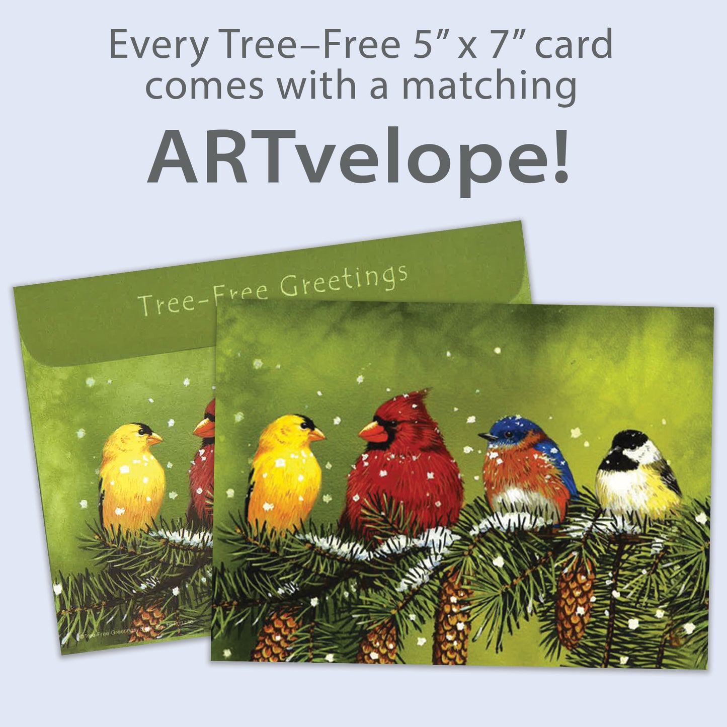 Snowy Feathered Friends Christmas Card