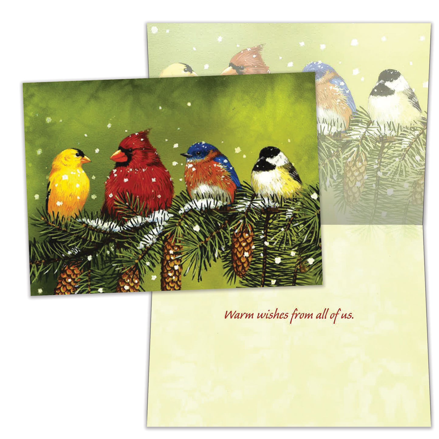 Snowy Feathered Friends Christmas Card