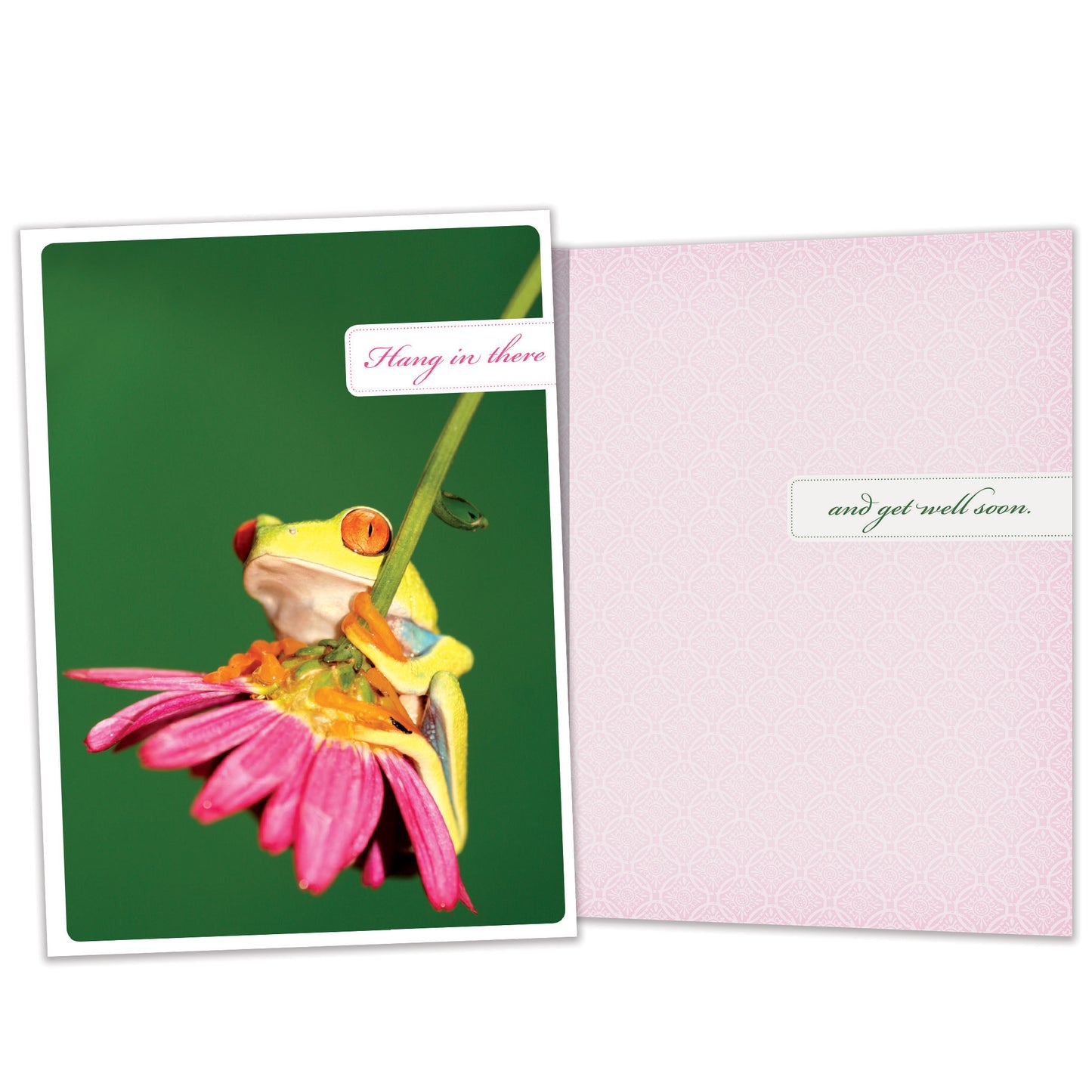 Hang In There Get Well Card