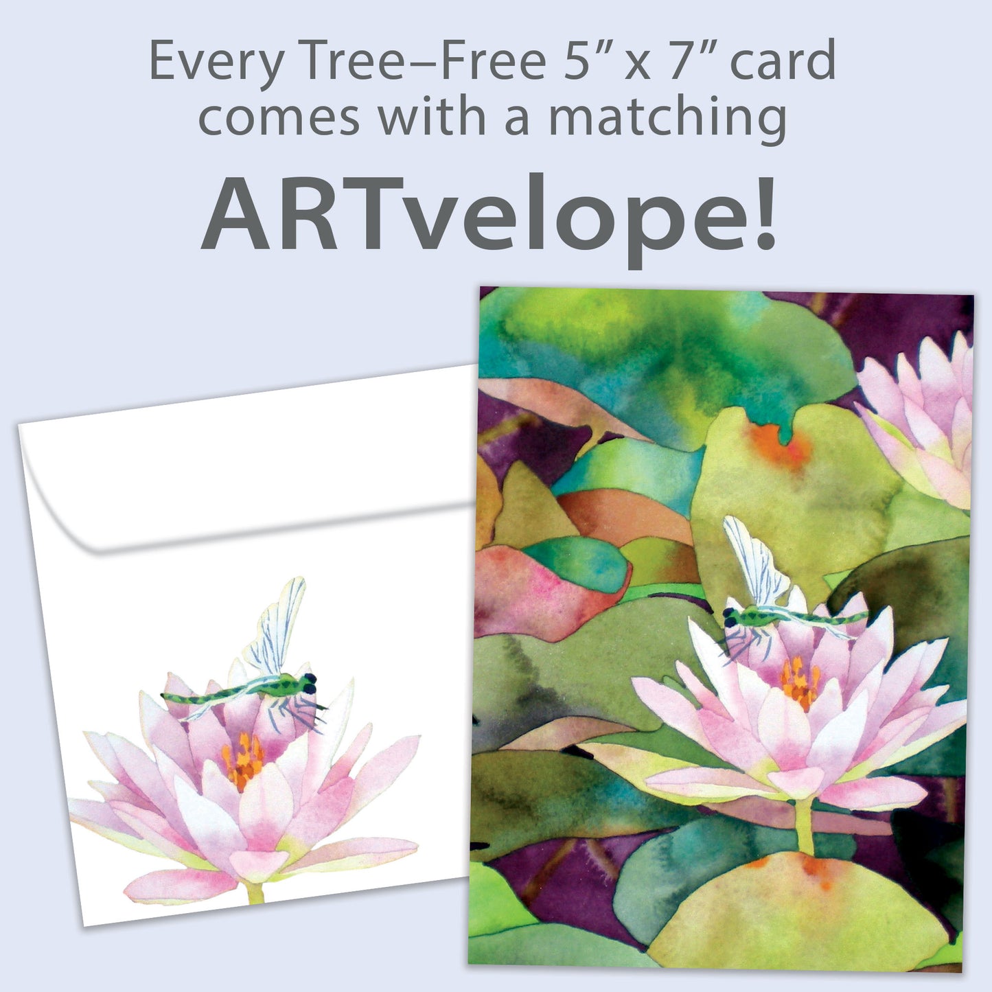 Waterlilies And Dragonfly Sympathy Card
