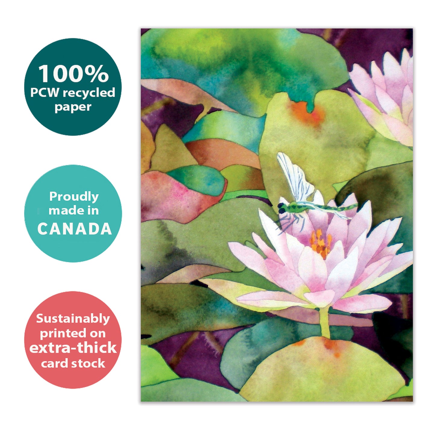 Waterlilies And Dragonfly Sympathy Card