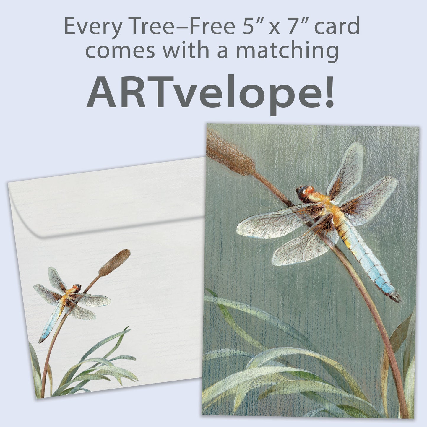 Dragonfly Sympathy Card