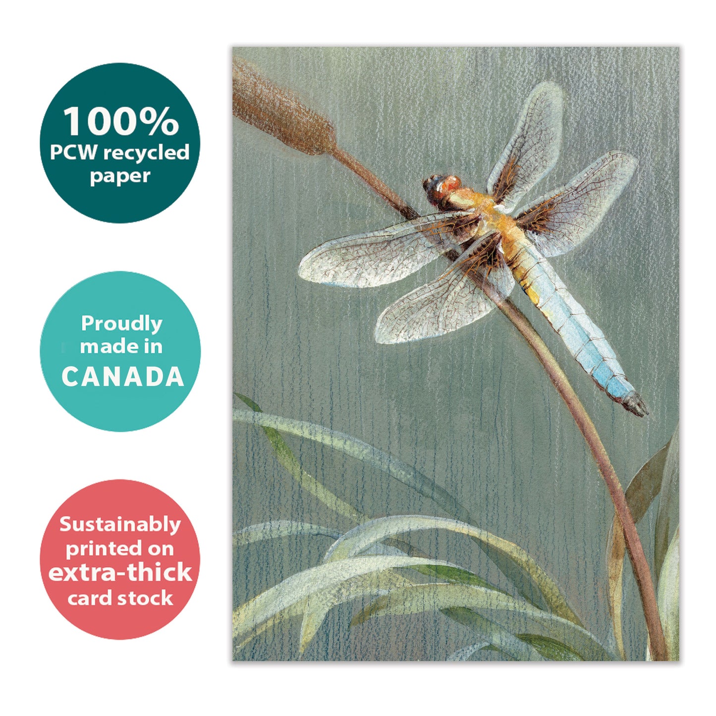 Dragonfly Sympathy Card