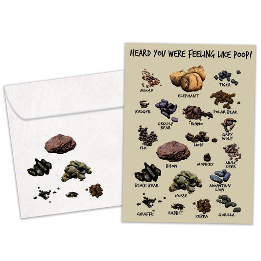 Feeling Like Poop Get Well Card