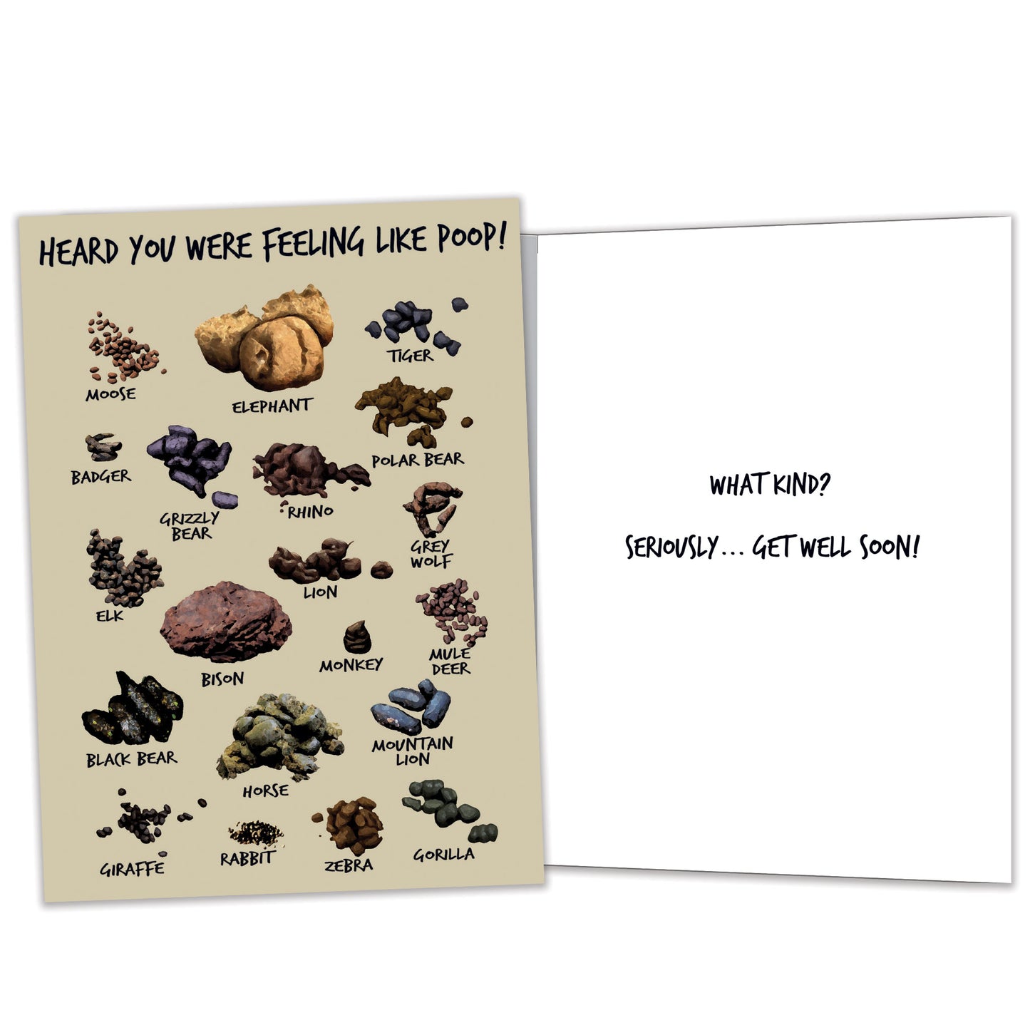 Feeling Like Poop Get Well Card