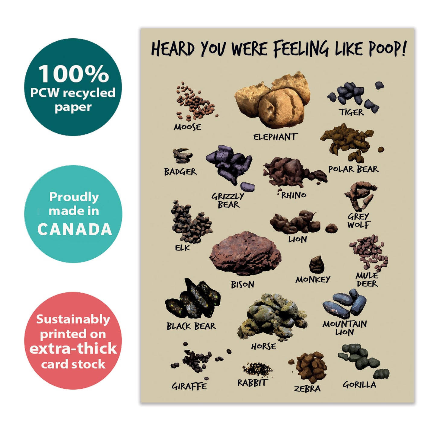 Feeling Like Poop Get Well Card