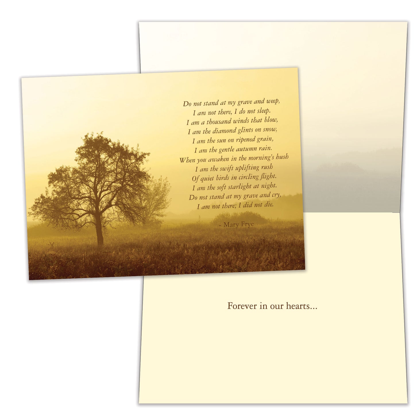Forever In Our Hearts Sympathy Card