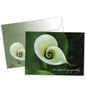 Sympathy Card