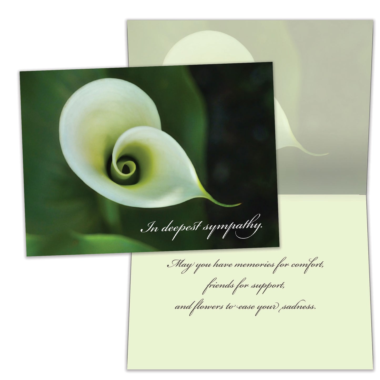 Sympathy Card