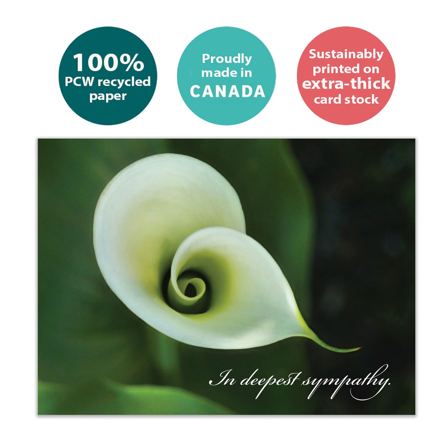 Sympathy Card