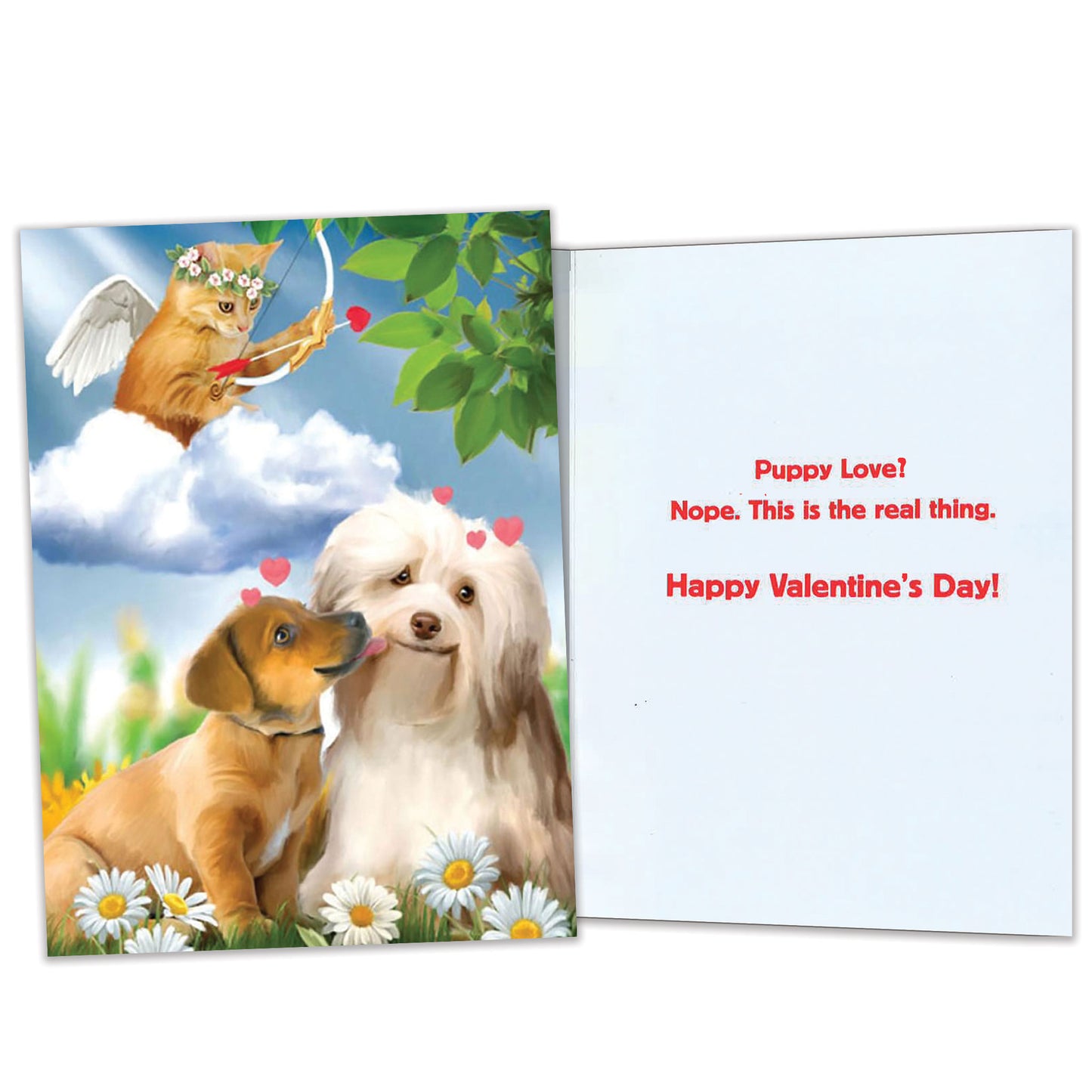 Cupid’s Arrow Valentine’s Day Card