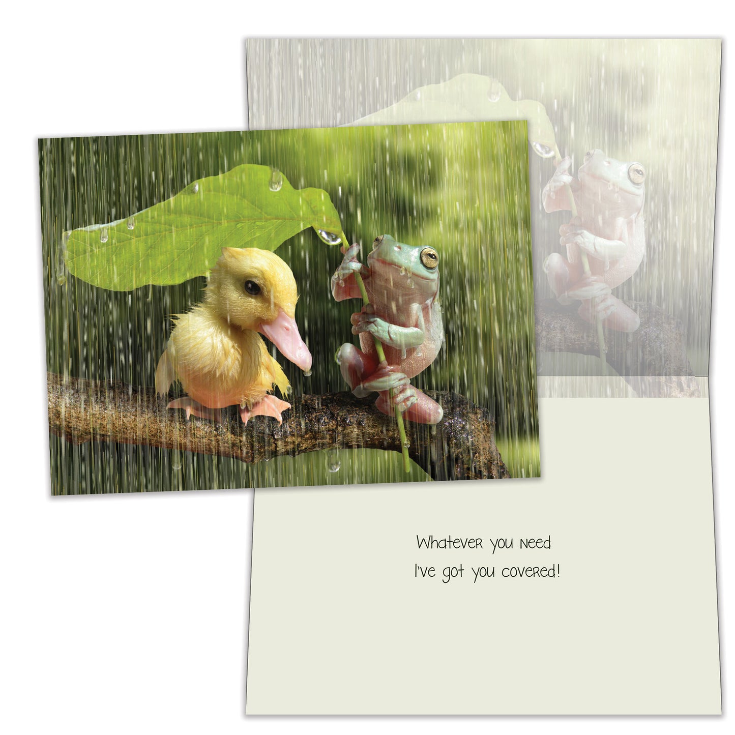 Got You Covered Support Card