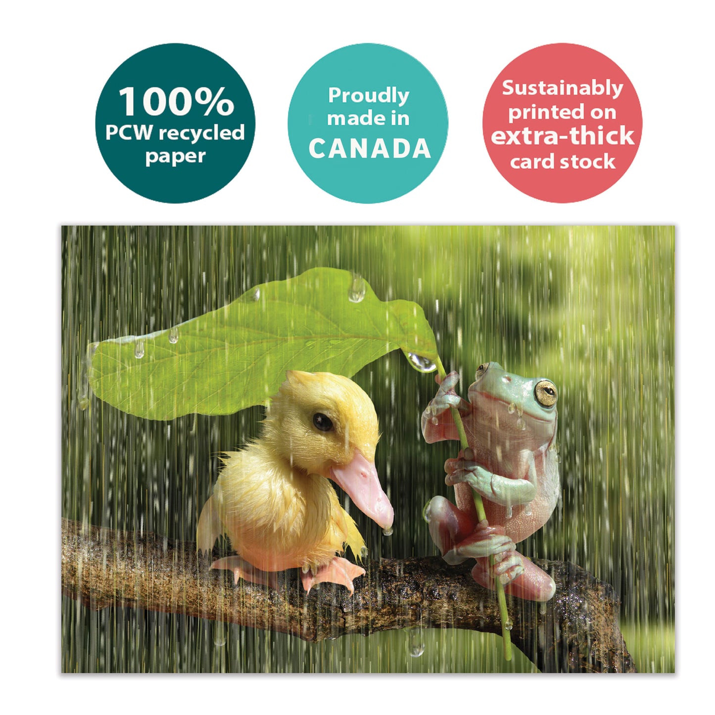 Got You Covered Support Card