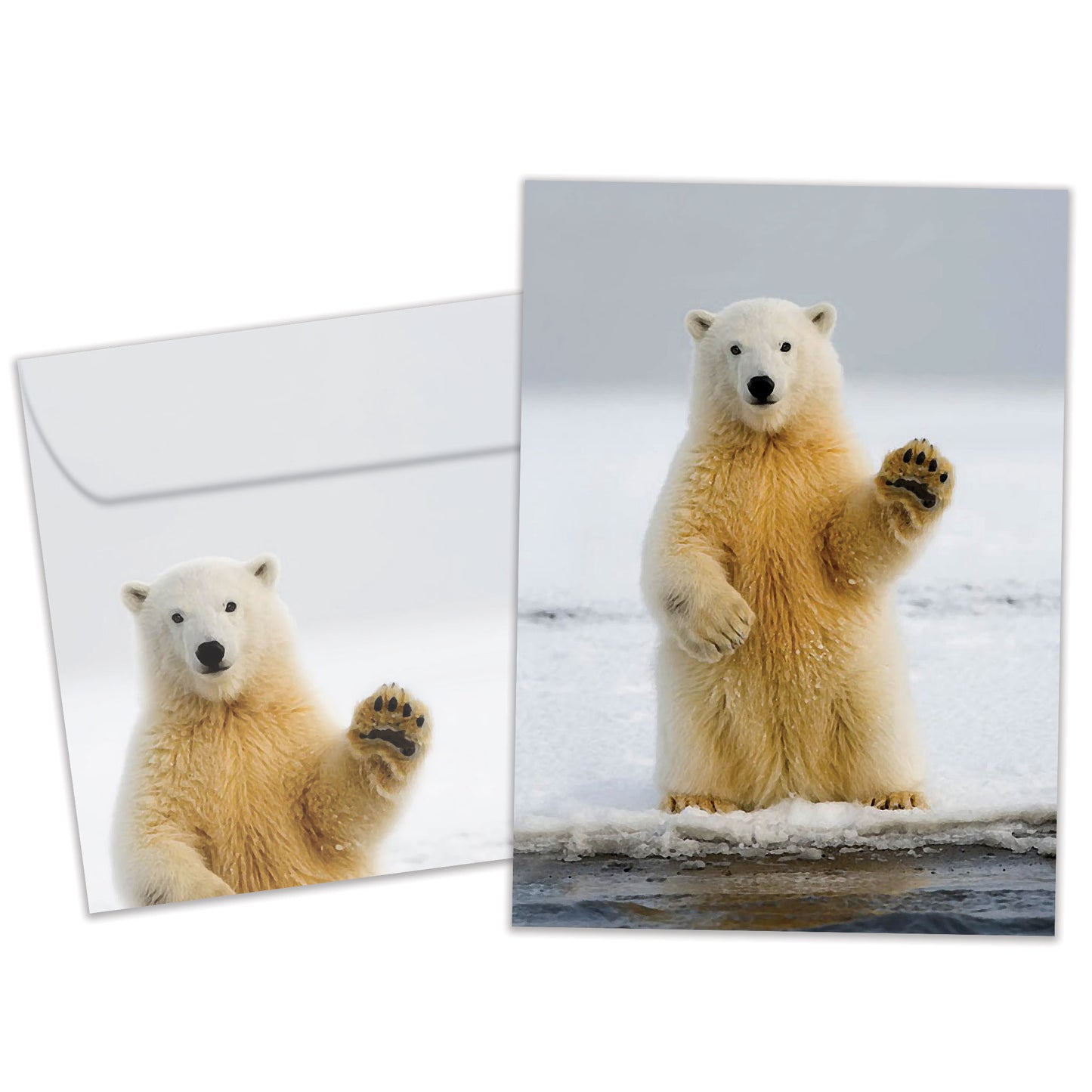 Polar Farewell Retirement Card