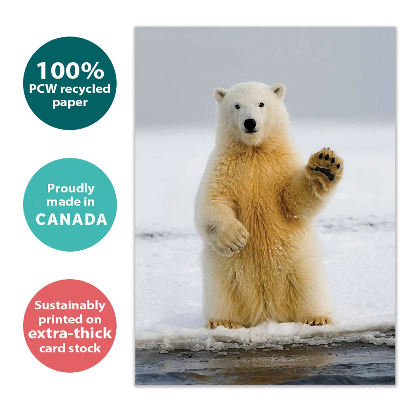 Polar Farewell Retirement Card